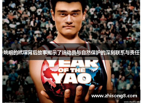 姚明的玳瑁背后故事揭示了运动员与自然保护的深刻联系与责任