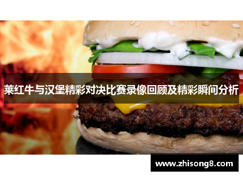 莱红牛与汉堡精彩对决比赛录像回顾及精彩瞬间分析
